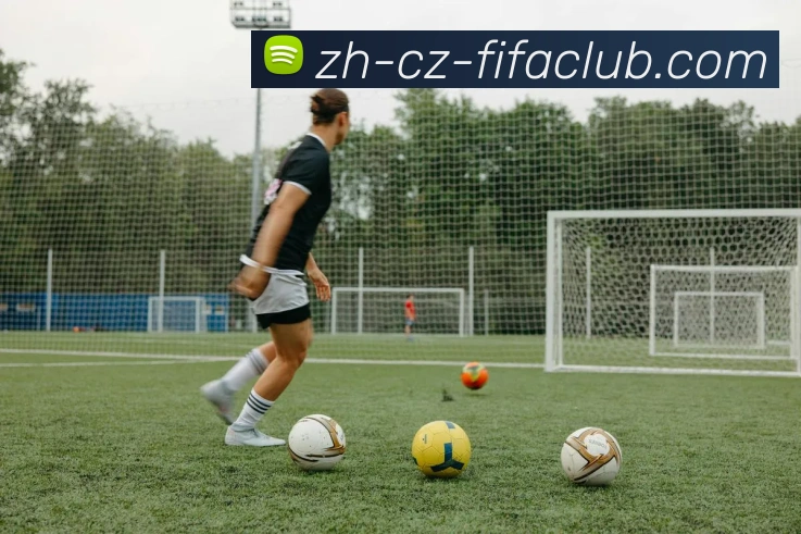 世界杯直播品牌故事