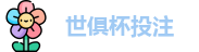 2025世界俱乐部杯